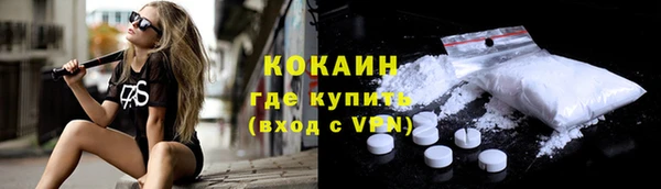 шишки Абинск