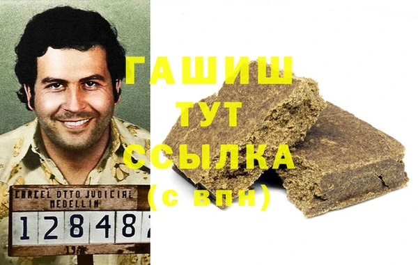 гидра Инта